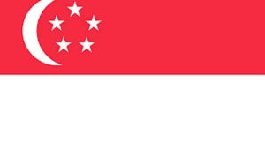 Kumpulan sejarah Singapura