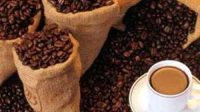 kumpulan-sejarah-kopi-luwak kumpulan sejarah kopi luwak