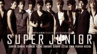 BoyBand Super Junior 28SUJU29