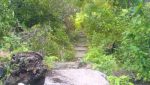 Jalan menuju Makam Hamzah Fansuri di Aceh