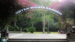 Pengembangan obyek wisata Sangeh