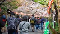 Tentang penduduk Jepang