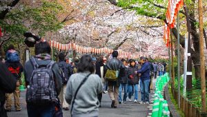 Tentang penduduk Jepang