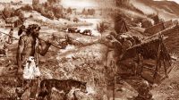 Sejarah bercocok tanam