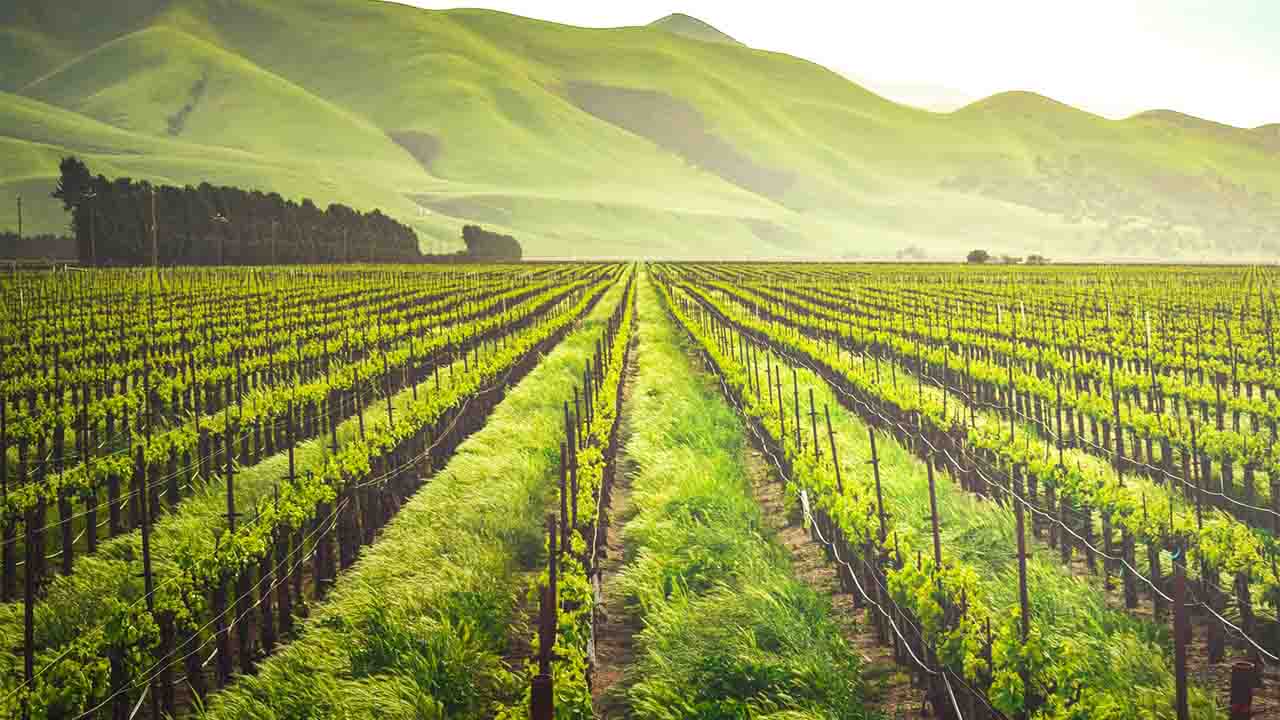 Industri Pertanian dan Industri Nonpertanian masa Repelita II