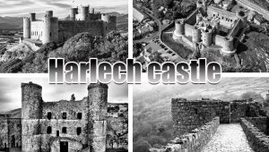 The Conquest of Wales