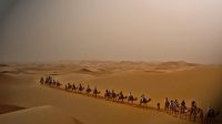 3 sahara dan 2 golongan penduduk Jazirah Arab