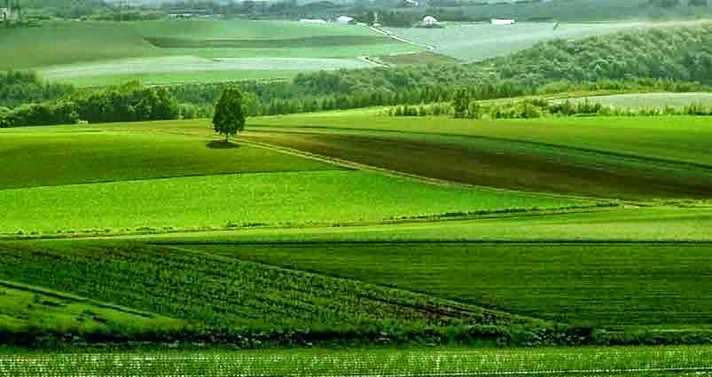 Kehidupan di daerah dataran yang luas