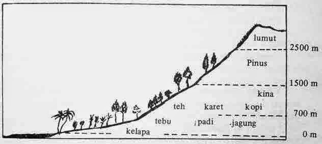 Pembagian iklim menurut Junghun
