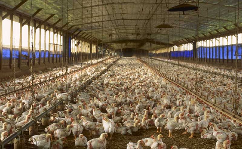 Potensi sumber daya alam Indonesia