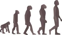 About pre history time