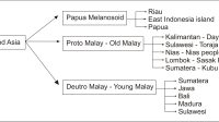 The diagram below shows pre historic ethnic groups in Indonesia