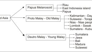The diagram below shows pre historic ethnic groups in Indonesia