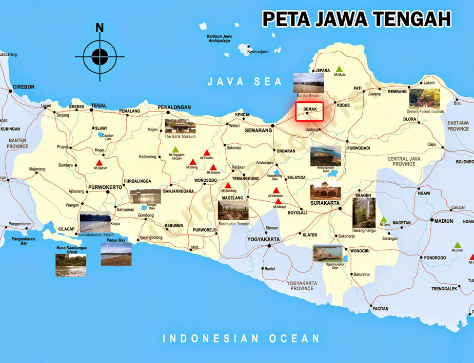 The development of Islamic in Demak Kingdom