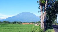 Megahnya Gunung Lawu
