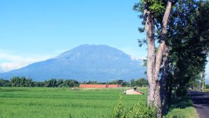 Megahnya Gunung Lawu