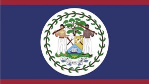 Bendera Negara Belize 500x292 1