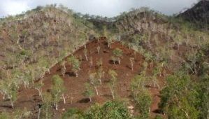 Foto Keadaan alam Timor Tim 500x274 299x190 1