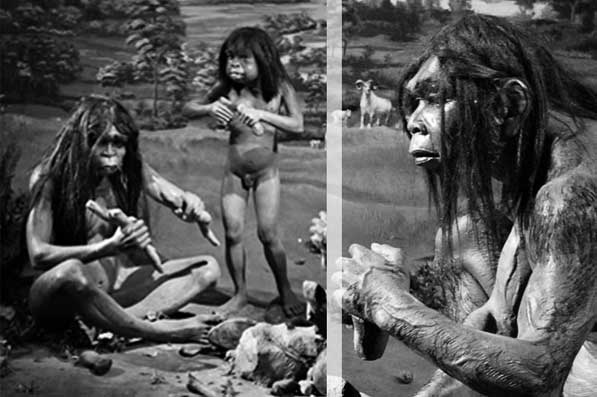 Glosarium kehidupan awal masyarakat Indonesia