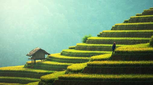 3 faktor yang menimbulkan kebudayaan