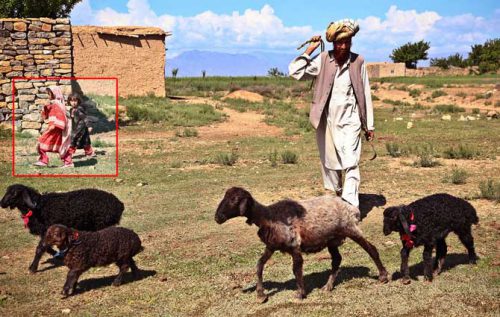 Sejarah penduduk negara Afghanistan