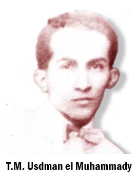 Lapangan dan pembagian kebudayaan