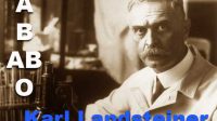 Biography of Karl Landsteiner inventor blood type