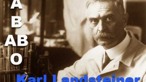 Biography of Karl Landsteiner inventor blood type