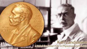 Karl Landsteiner a Nobel the Nobel Prize in Physiology and Medicine