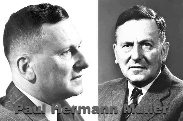 The history of the discovery of DDT by Paul Hermann Muller