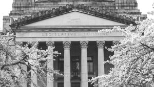 US Buoyed by Strong GDP Result