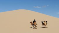 Gurun Gobi di Mongolia