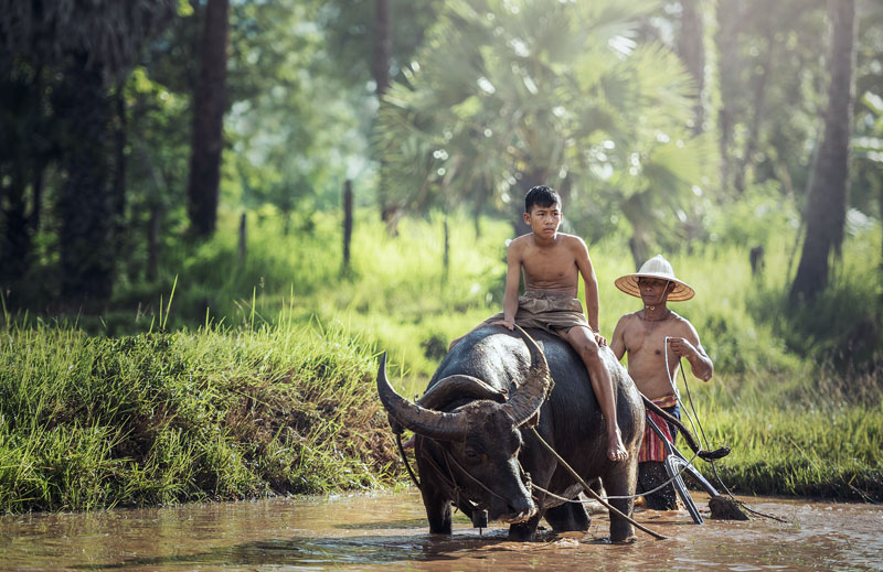 Flora dan Fauna di Benua Asia