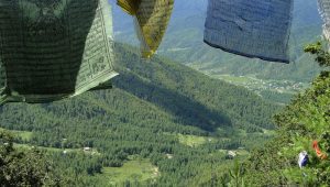 Penampakan hutan di Negara Bhutan