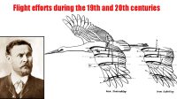 Flight efforts during the 19th and 20th centuries