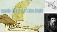 Leonardo da Vinci studies flight illustration