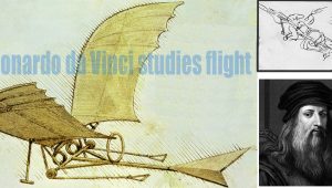 Leonardo da Vinci studies flight illustration