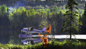 The Seaplane and its History