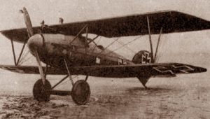 The history of Aerobatic Flight
