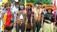 Pakaian Adat Papua Barat