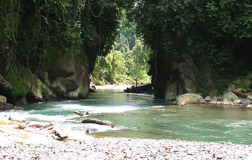 Tangkahan Sumatera Utara Gambar Tangkahan Sumatera Utara