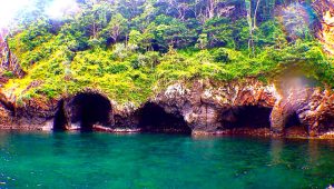 gua sarang 810x479 1