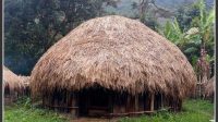 Rumah Honai Rumah Adat Papua