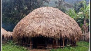Rumah Honai Rumah Adat Papua