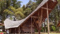 Gambar Rumah adat Sulawesi Barat