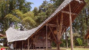 Gambar Rumah adat Sulawesi Barat