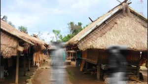 Rumah-adat-Senaru-NTB Rumah adat Senaru NTB