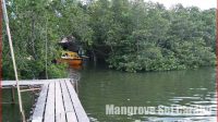 Mangrove Sei Carang Tanjung Pinang