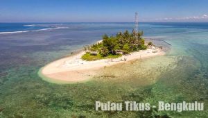 pulau tikus bengkulu