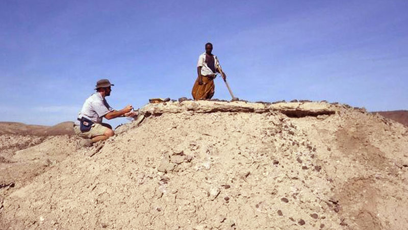 Fosil Berumur 518 Juta Tahun di Temukan di China